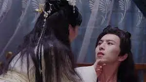 浪漫古装情缘：《君心若能似我心》跨越时空的动人故事