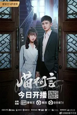 《喵不可言》：当萌宠治愈一切，你准备好被这只猫咪征服了吗？